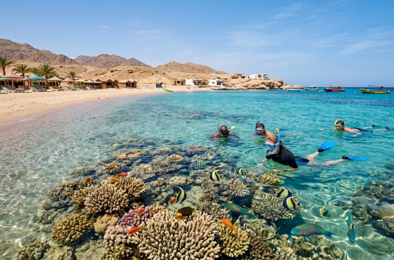 Exploring the Red Sea: Best Beaches and Snorkeling Spots in Egypt