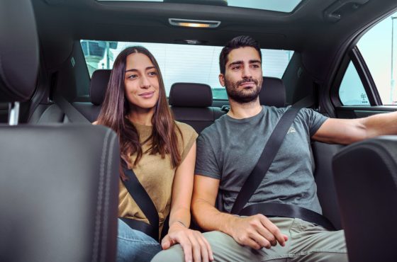 Private Transfer from Aswan Airport to Hotel