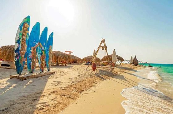 Orange Bay Island Day Trip & Snorkeling Adventure