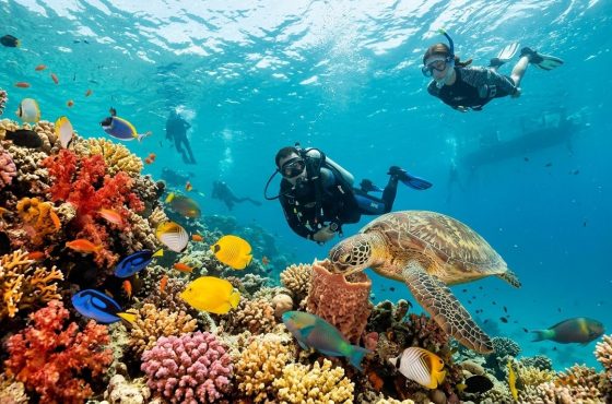 Hurghada Snorkeling & Scuba Diving Adventure